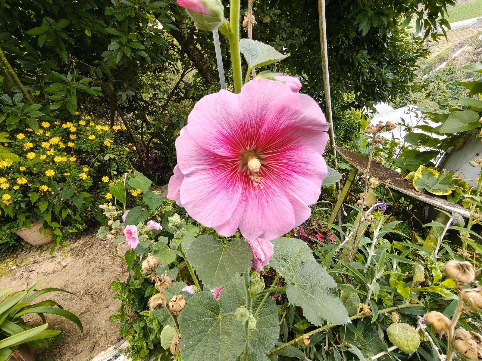 Chon Law Enterprise - Image 1