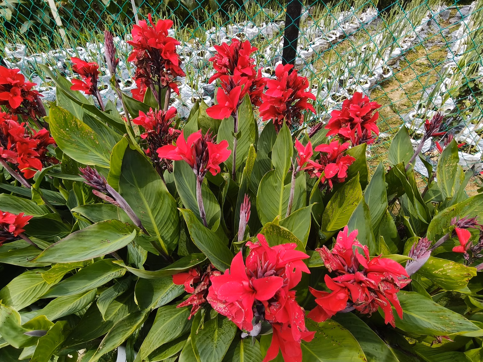 Chon Law Enterprise - Image 1