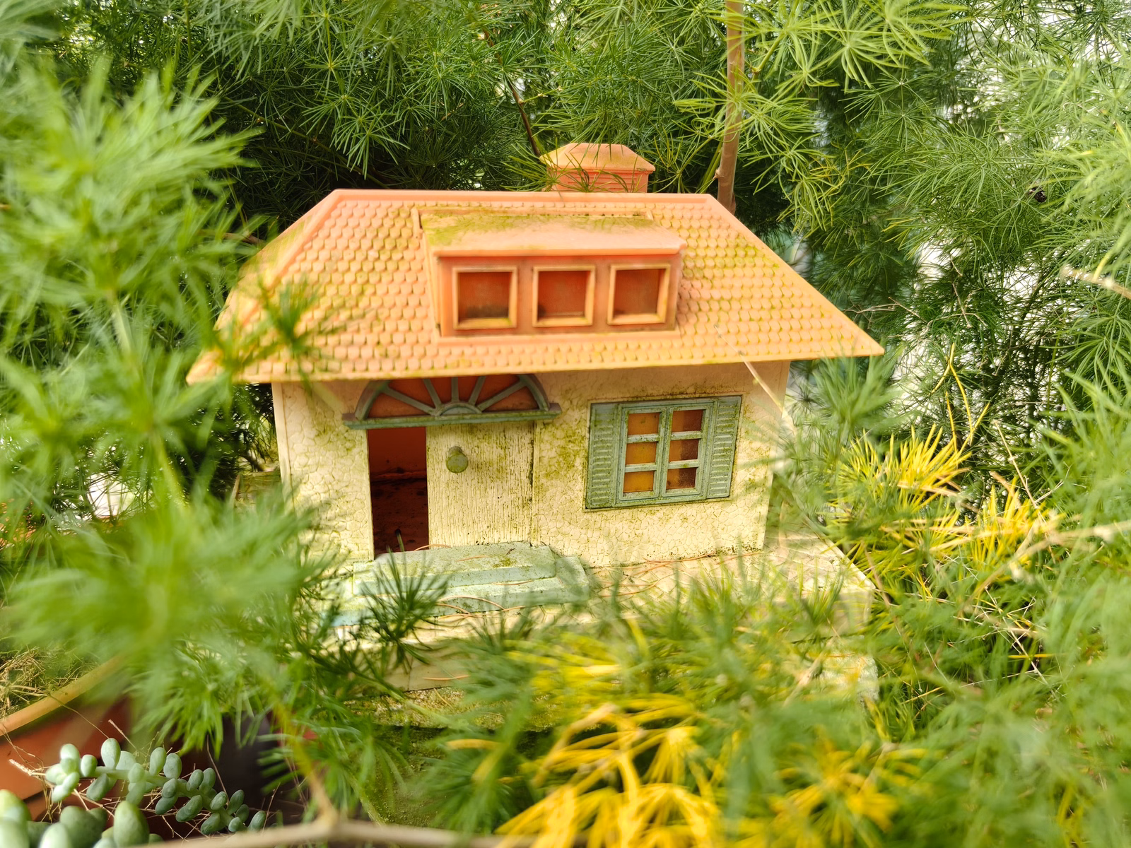 Chon Law Enterprise - Image 1