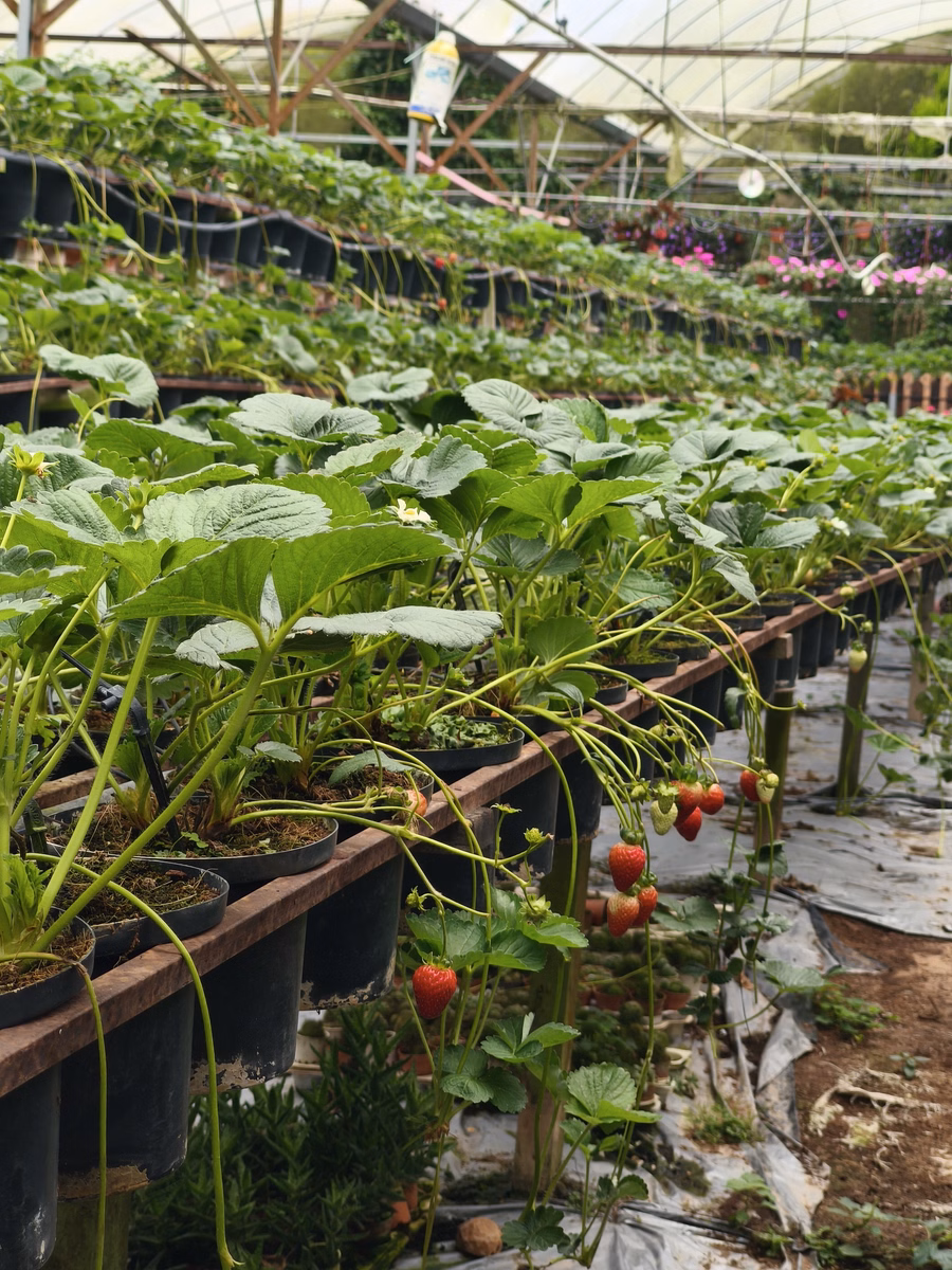 Chon Law Enterprise - Image 1