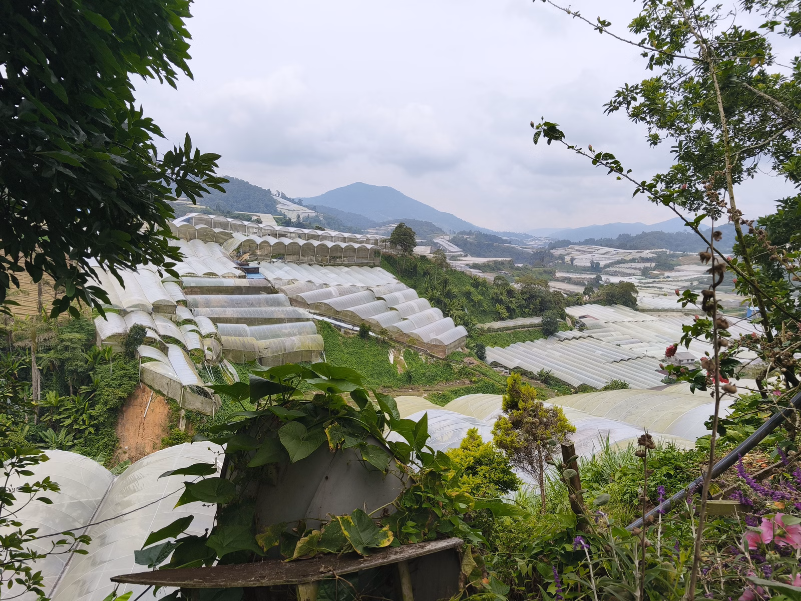 Chon Law Enterprise - Image 1