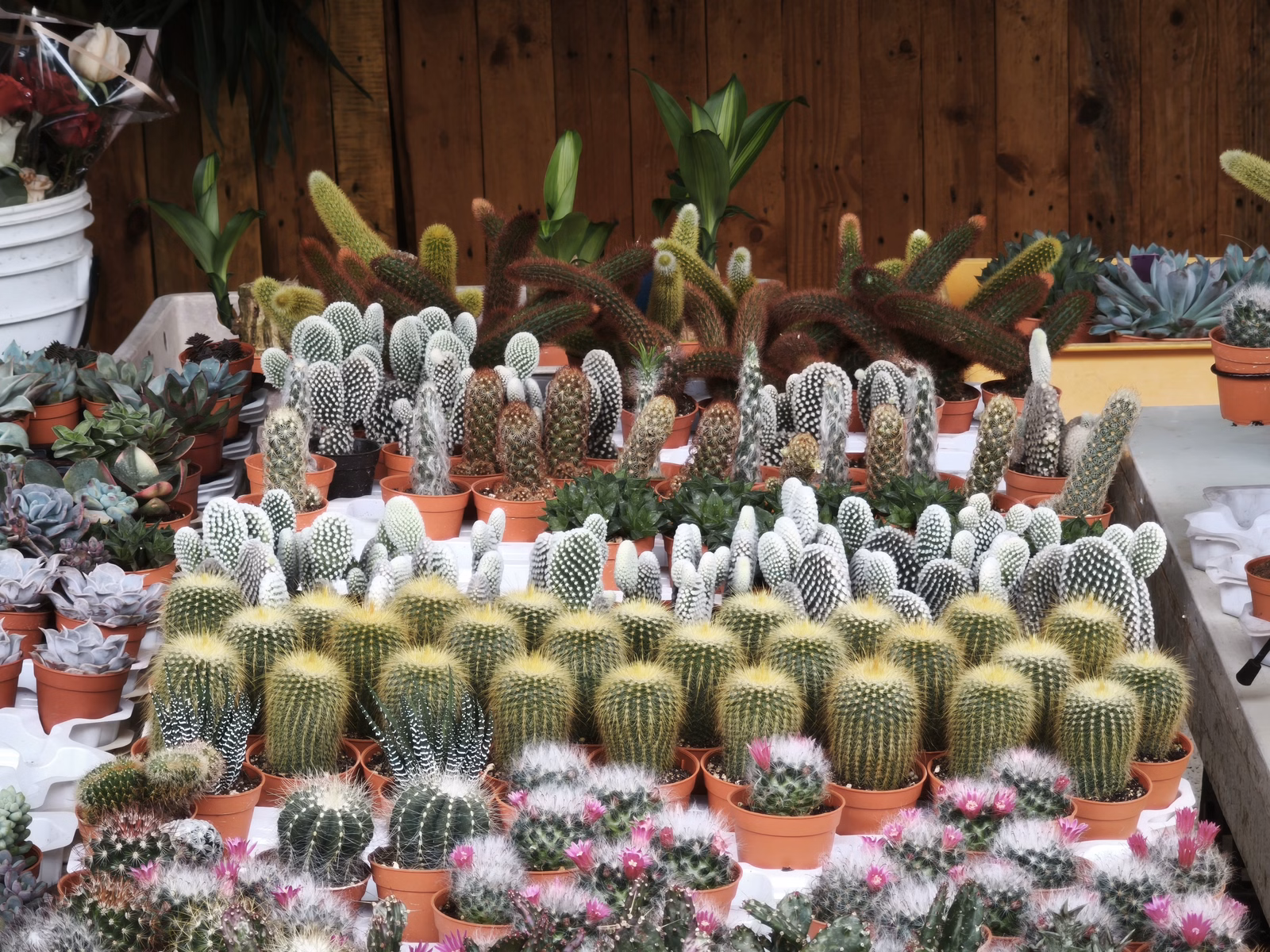 Chon Law Enterprise - Image 1