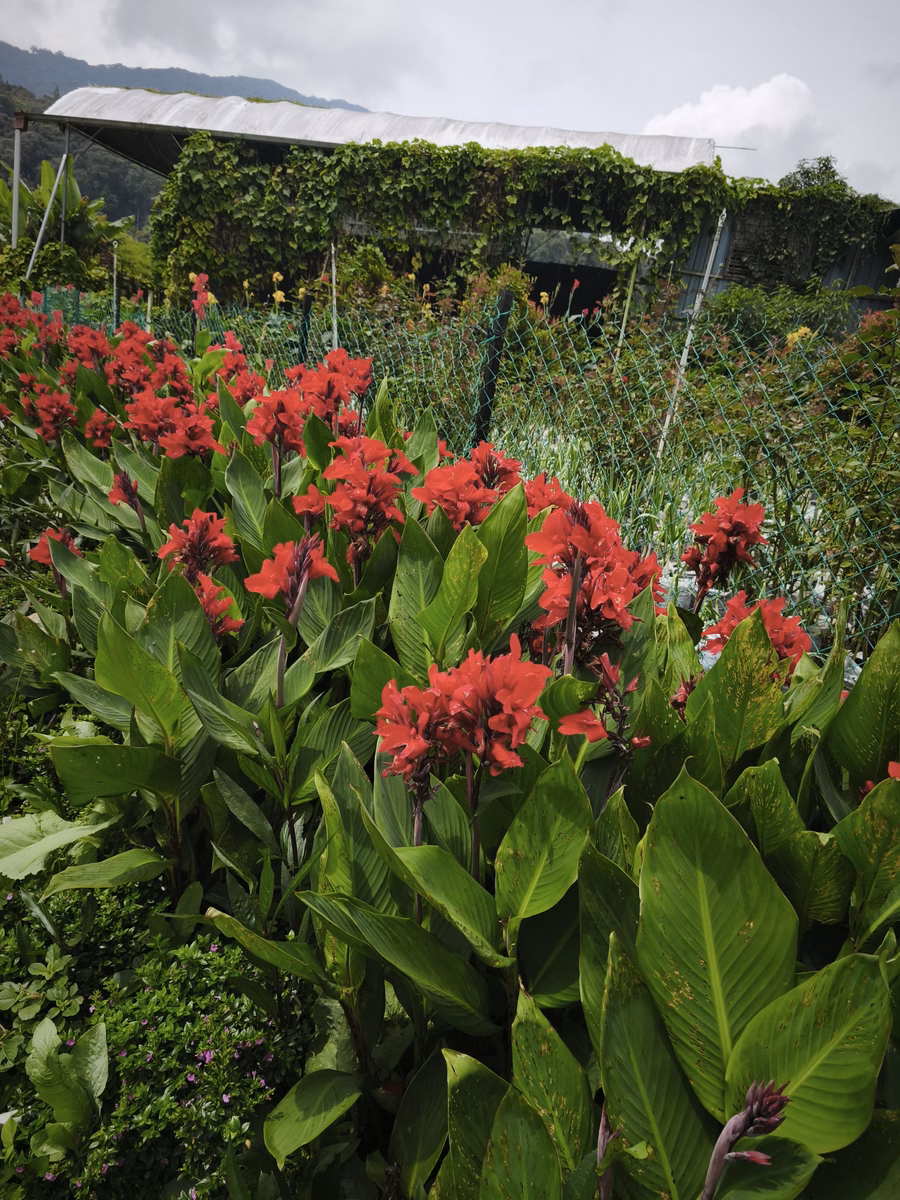 Chon Law Enterprise - Image 1