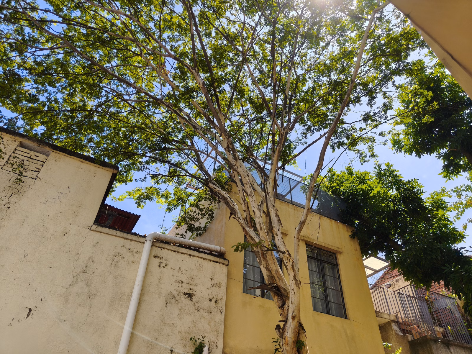 George Town - Image 1