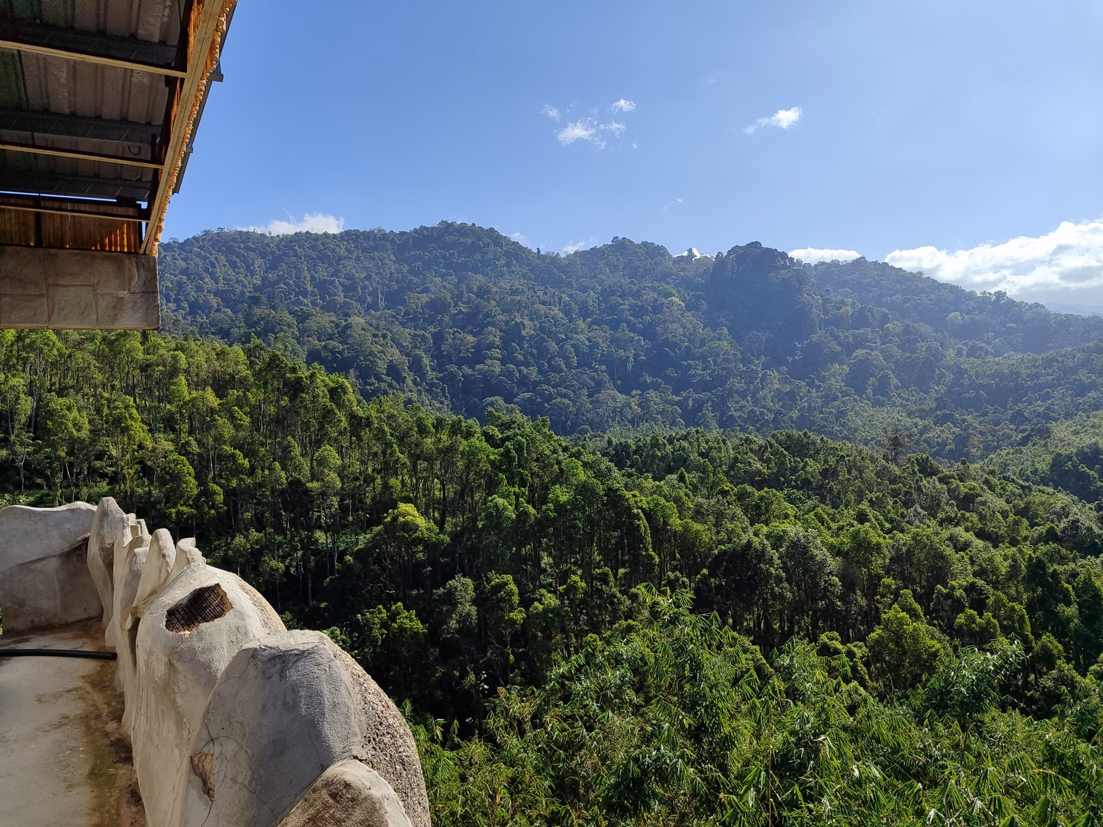 Hoga Gaharu Tea Valley - Image 1
