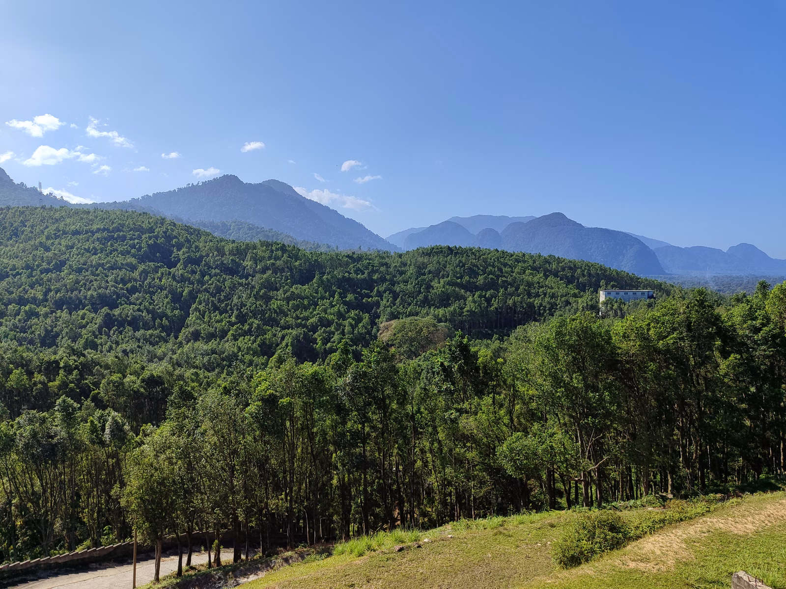 Hoga Gaharu Tea Valley - Image 1