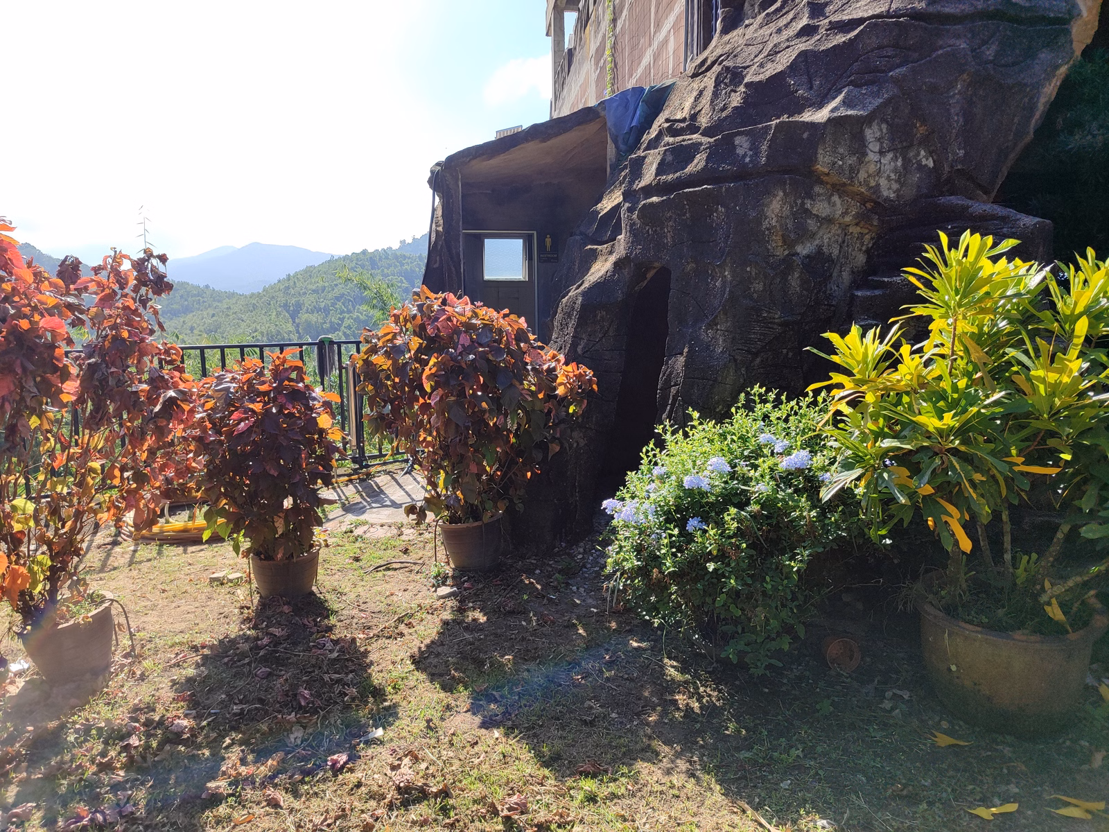 Hoga Gaharu Tea Valley - Image 1