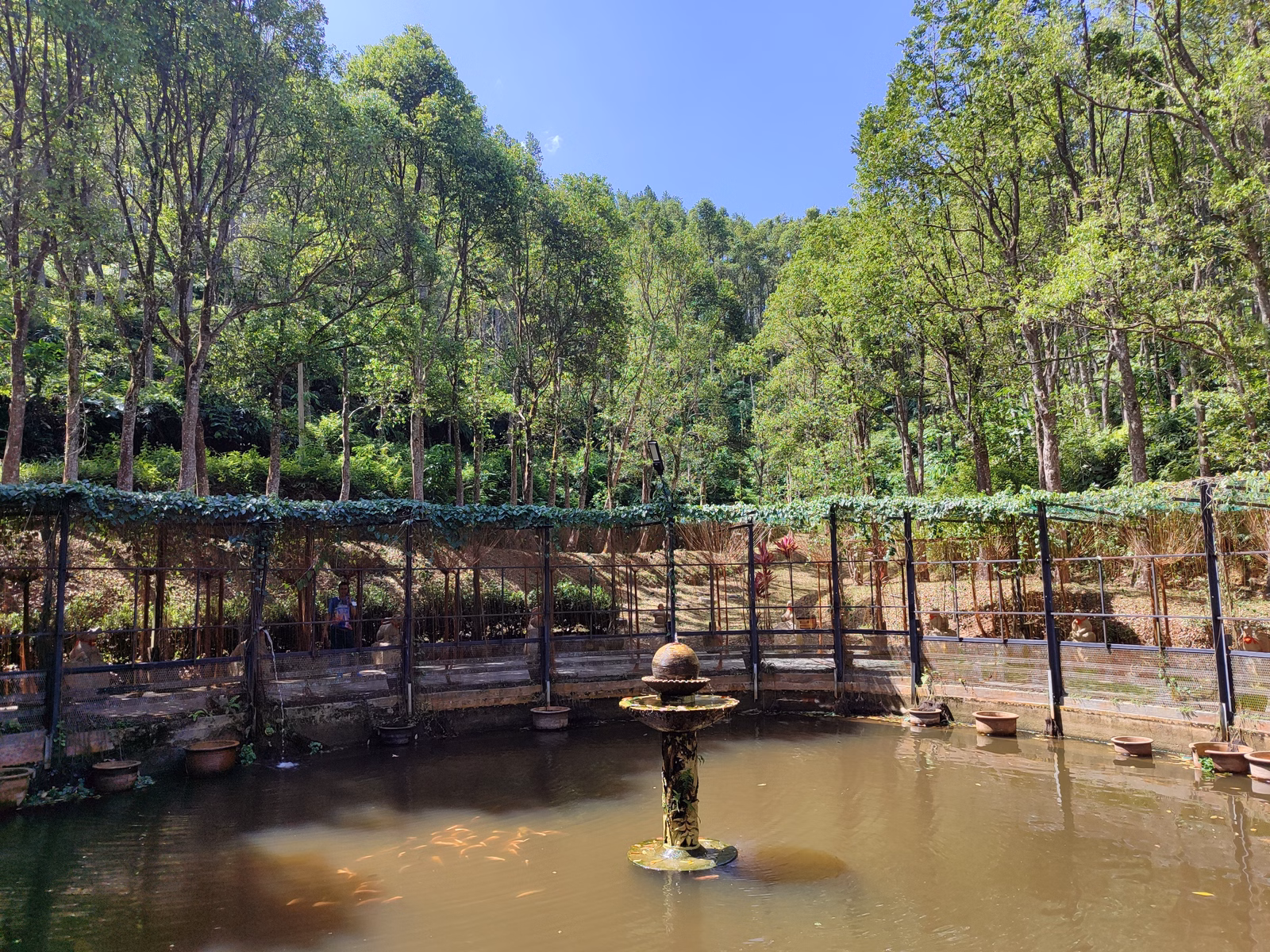 Hoga Gaharu Tea Valley - Image 1