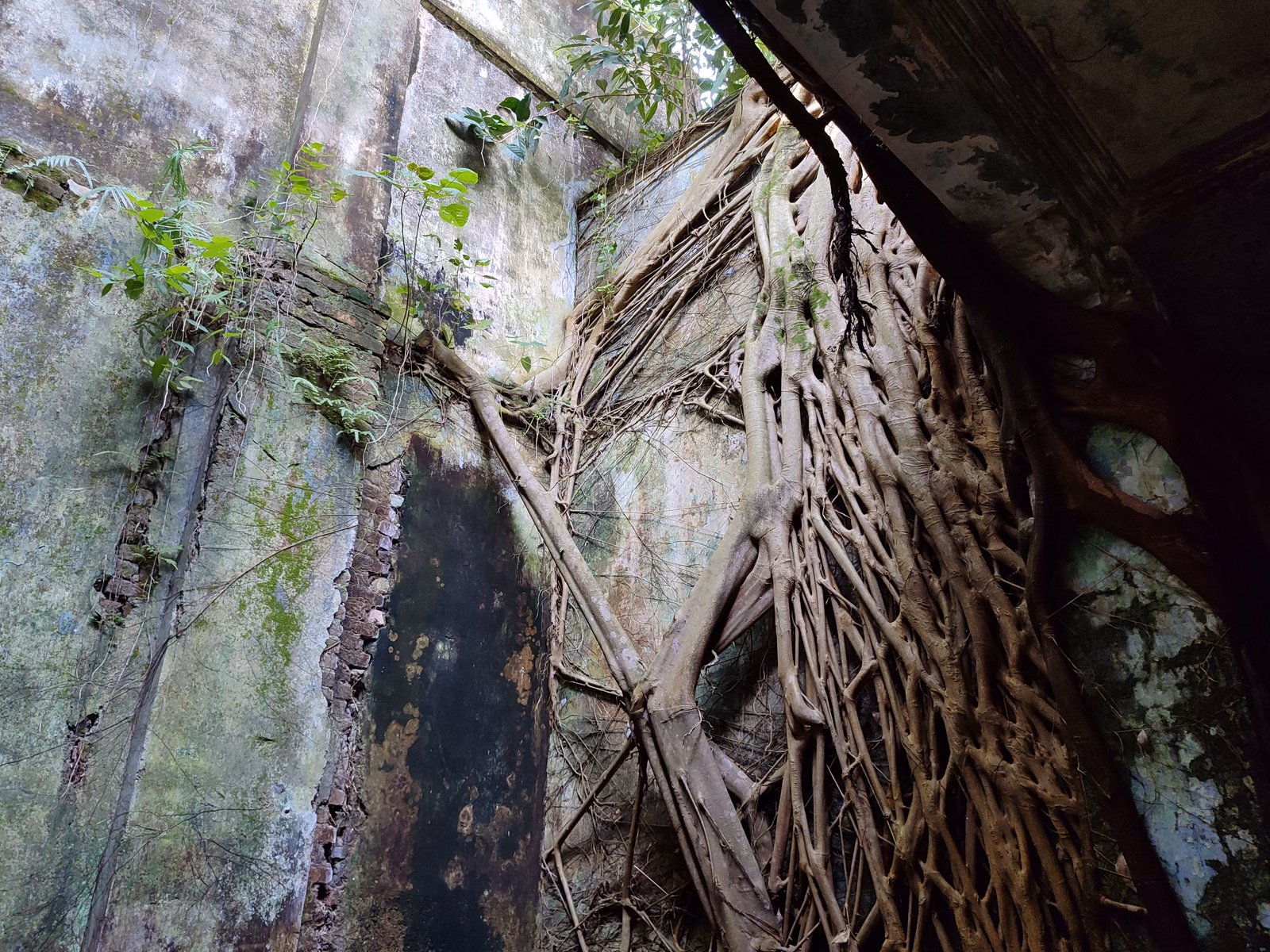 Pekan Papan - Image 1