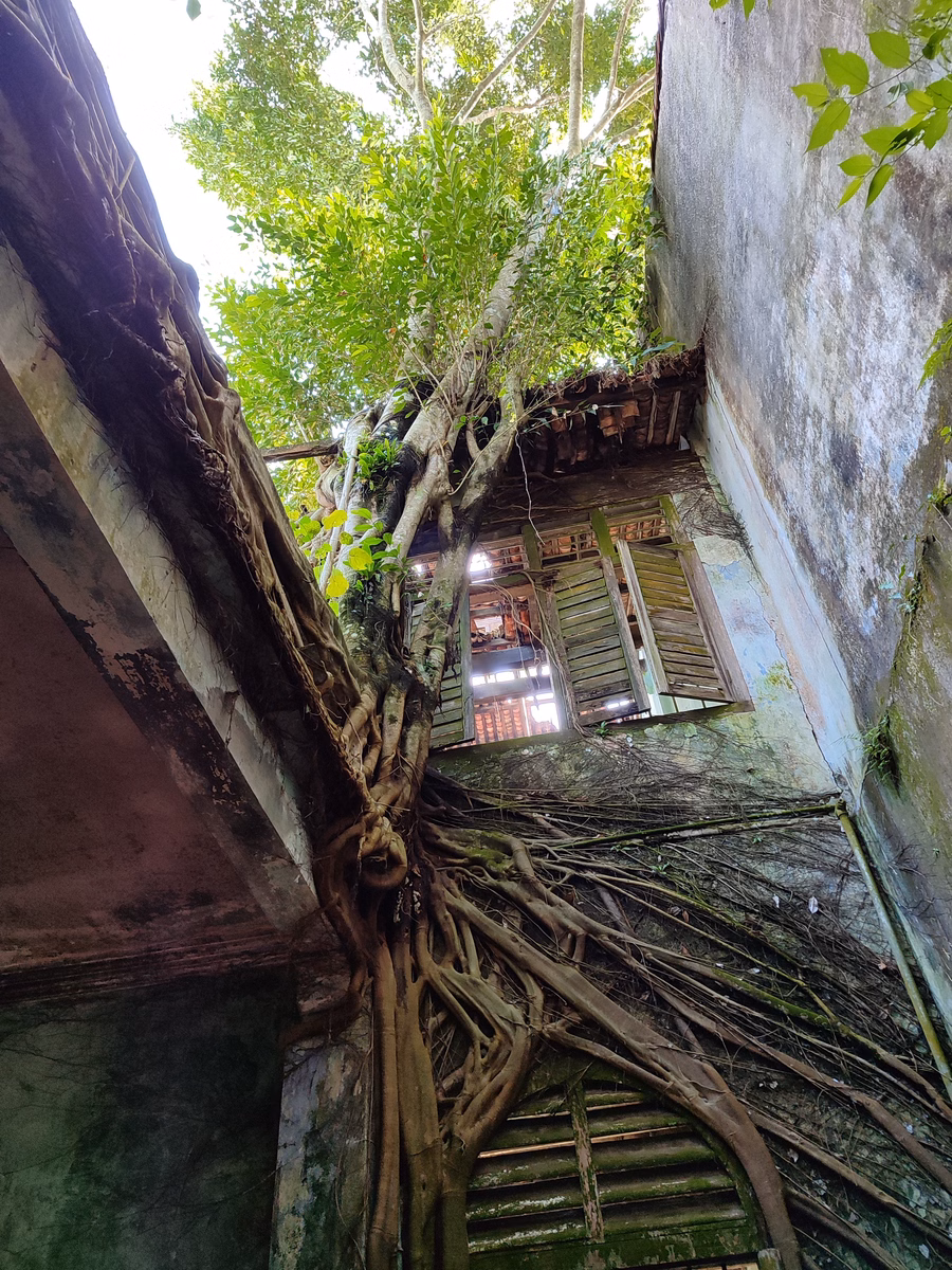 Pekan Papan - Image 1