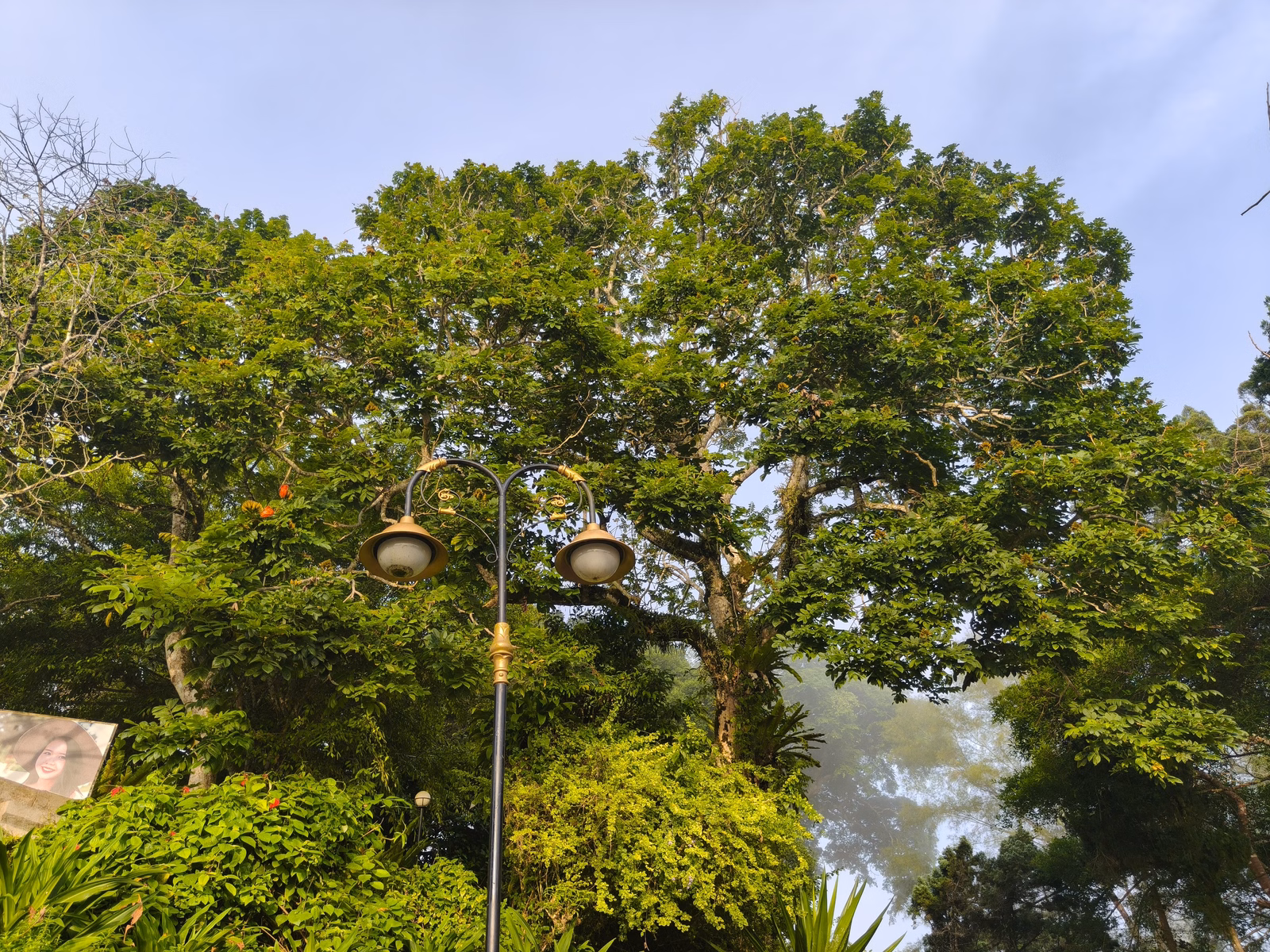 Penang Hill - Image 1