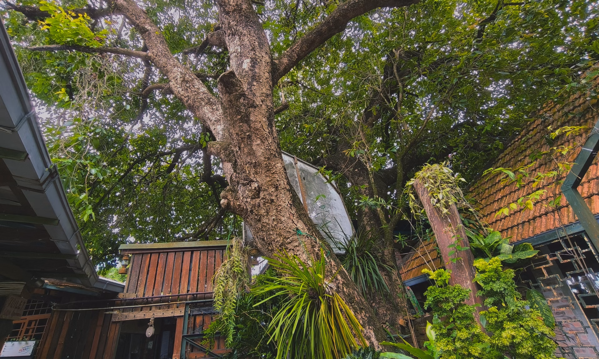 Penang War Museum - Image 1