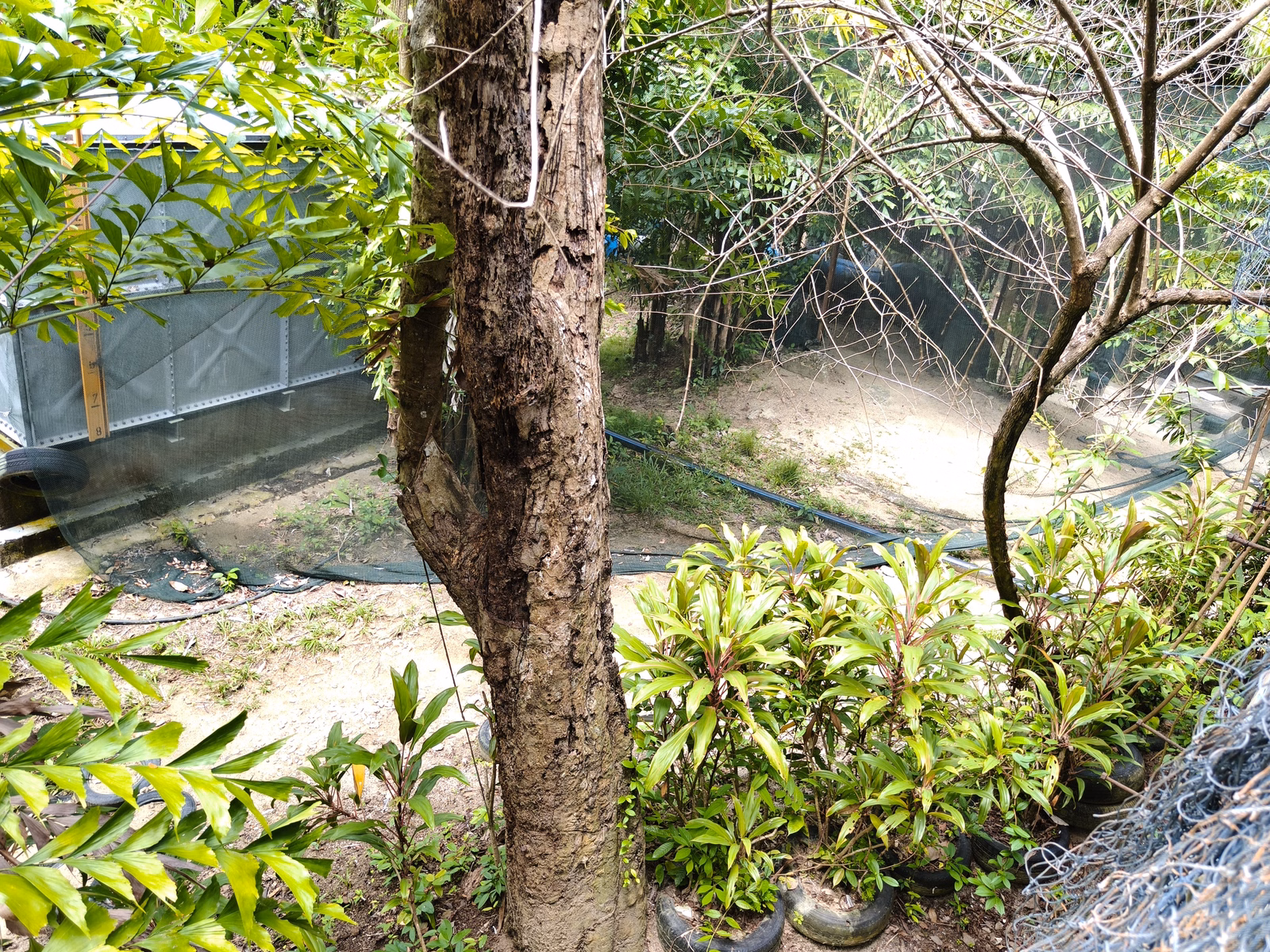 Penang War Museum - Image 1