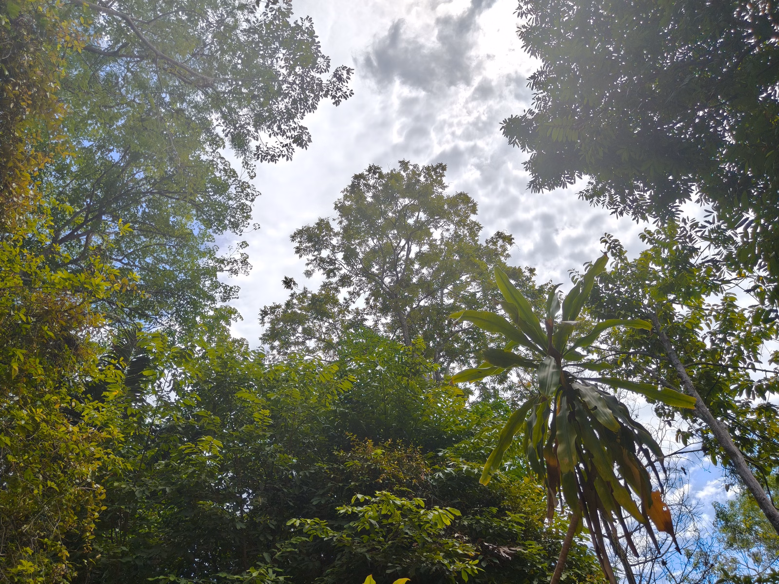 Penang War Museum - Image 1