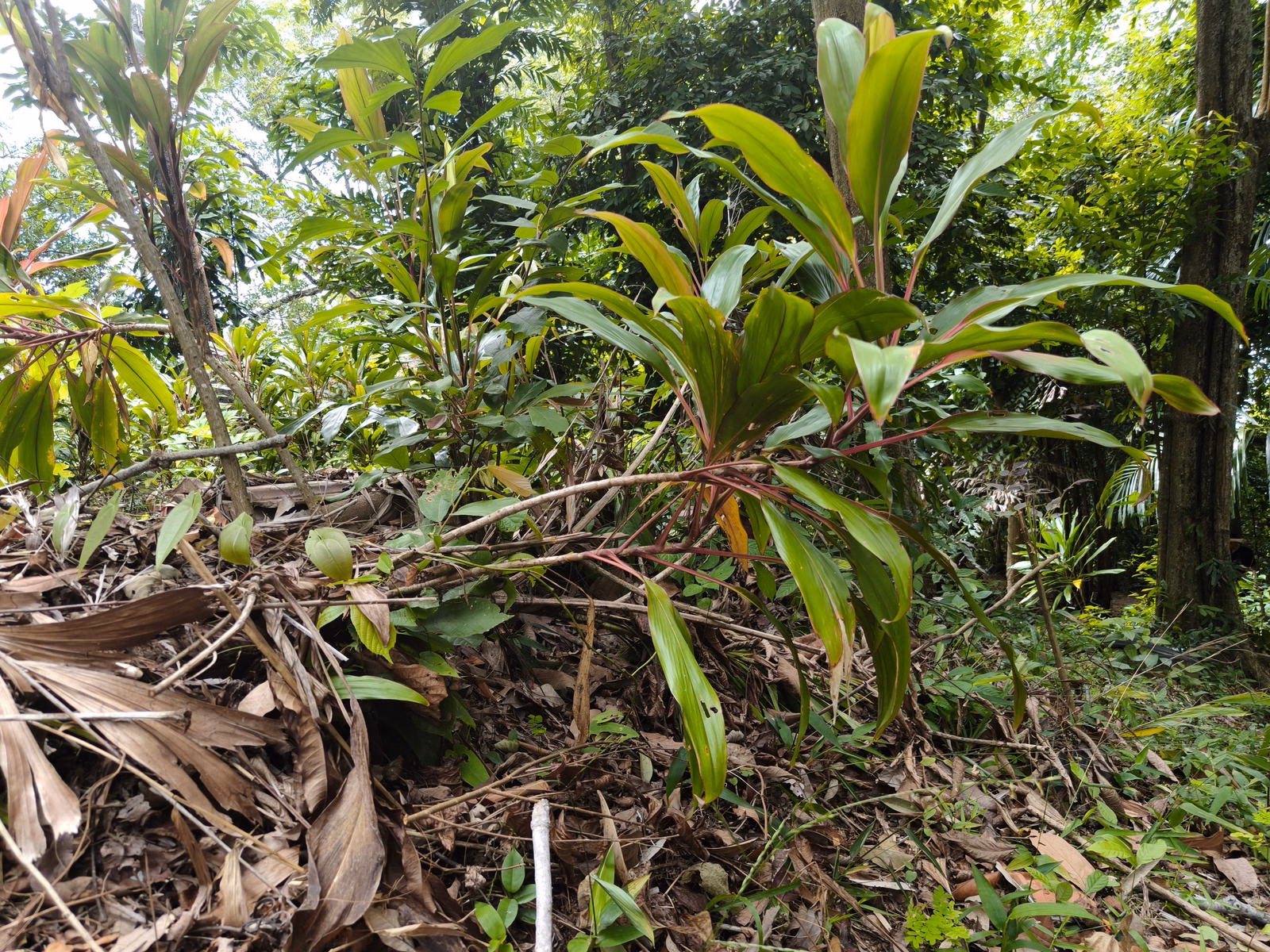 Penang War Museum - Image 1