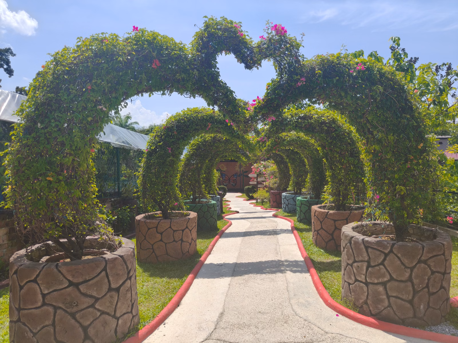 Zahara Garden - Image 1